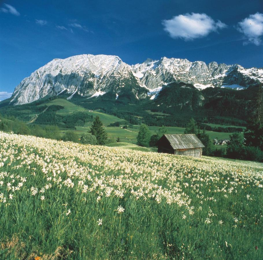 Апартаменты Schusterbauernhof Бад-Миттерндорф Экстерьер фото