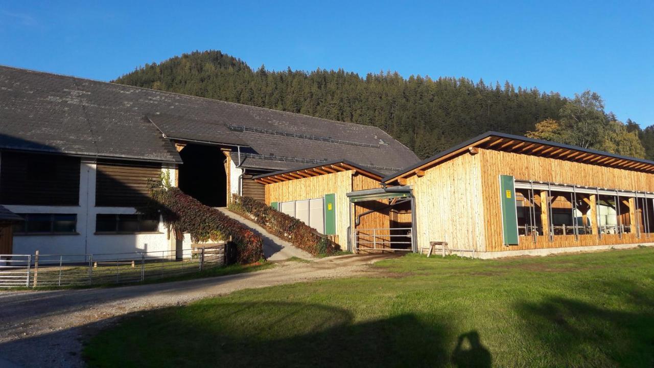 Апартаменты Schusterbauernhof Бад-Миттерндорф Экстерьер фото